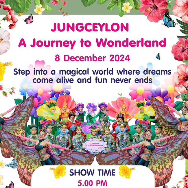 journeytowonderland