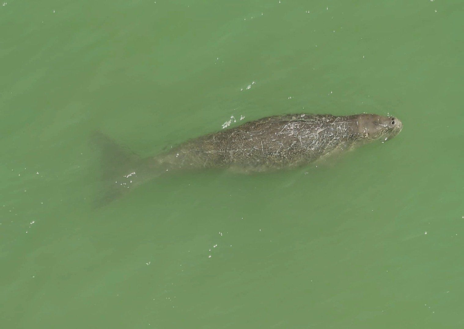 Photo4.jpg Photo4.jpg