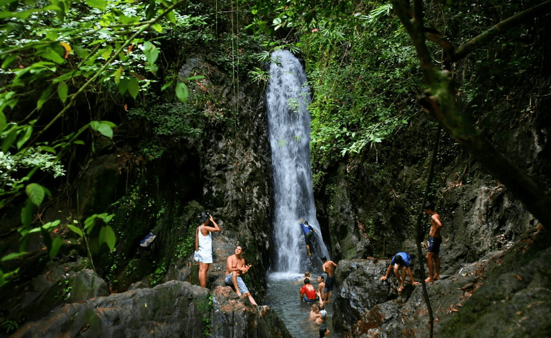 Phuket Embrace Nature Waterfalls, Wildlife, and Jungle Treks.png Phuket Embrace Nature Waterfalls, Wildlife, and Jungle Treks.png